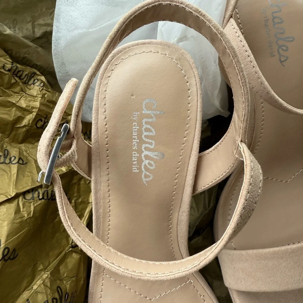 NWT Charles David (Nordstrom and QVC) Nude IZZY Block Heel Strappy Sandal, 6M